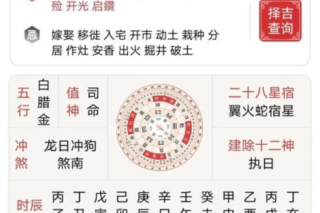 丁酉辛亥丙戍己亥八字命运