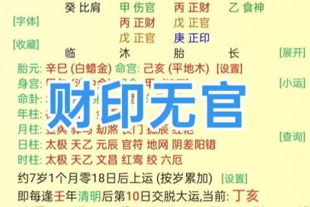 八字看偏财运解析