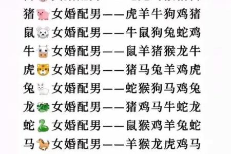 离婚风水命里有二婚的四个生肖有哪些