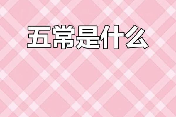 风水学中的三纲五常指的是什么