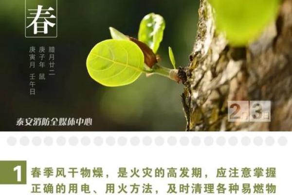 立春 风水 立春 风水