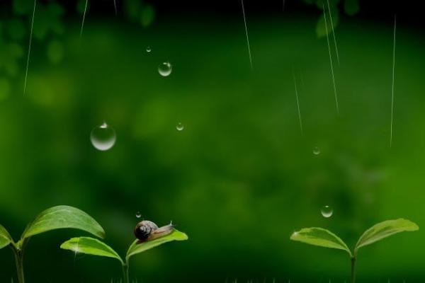 【财运测试】群星逆行冲击大，你的财运会不会受影响？