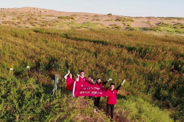 如何以沙漠绿洲为中心测算八字？