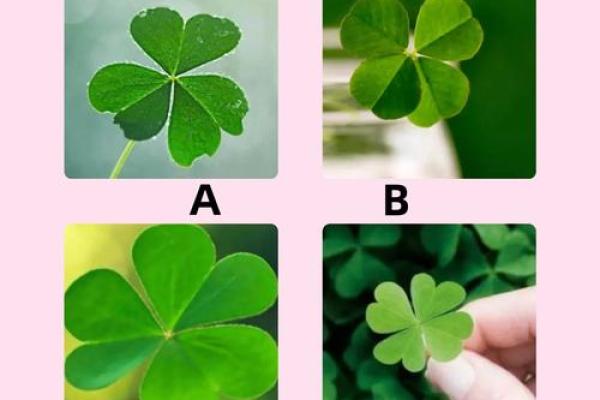 神准测试-你擅长处理人际纠纷吗？