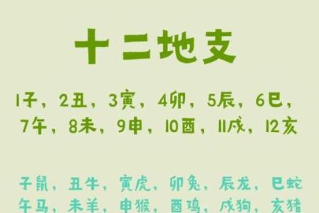 楼层风水与属相五行