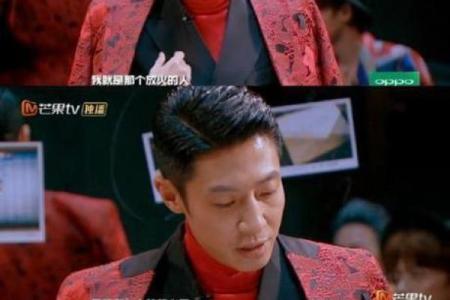 白岩松八字,撒贝宁八字