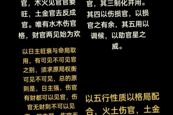 八字里的地支怎么论财官印