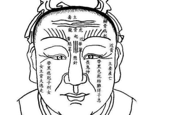 面相在线测试,在线扫一扫测面相