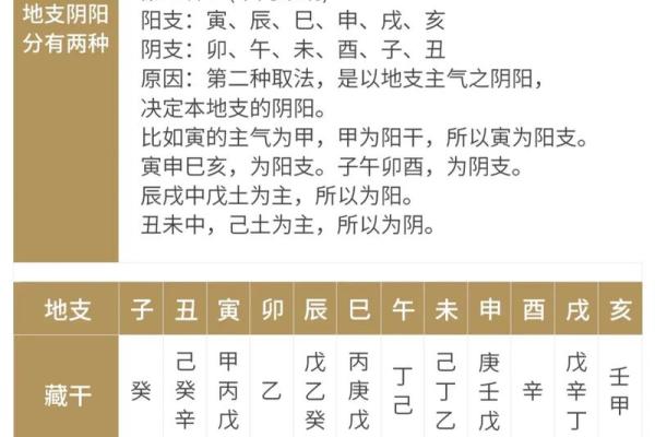 八字易学是什么,易经与八字