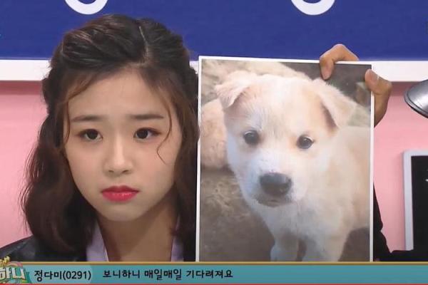 小童星八字分析及未来发展趋势