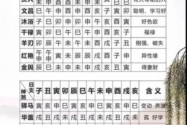怎么看我们的生辰八字属性