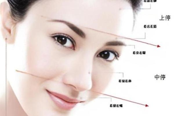 八字眉的女人面相命运事业发展如何