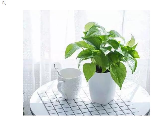 1574924424937622.jpg 8.jpg