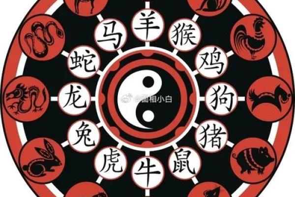 鼠金牛座2025年运势_鼠金牛座2025年运势及运程 鼠金牛座2025年运势_鼠金牛座2025年运势及运程