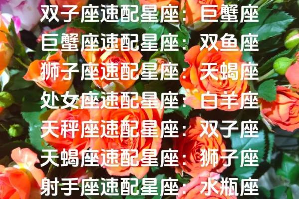 白羊今日运势男_白羊座今日运势男二零二一年