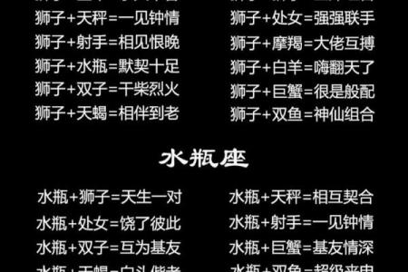 狮子座的男生_狮子座的男生和水瓶座的女生合适吗