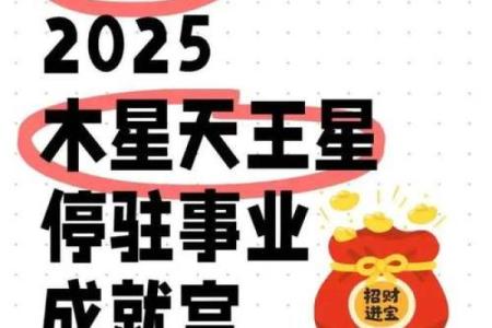 处女座2025年运势_2025年处女座运势详解事业爱情双丰收