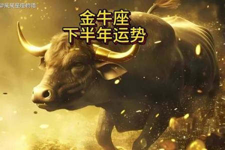 金牛座男今日运势第一星座网 金牛座男今日运势查询超准