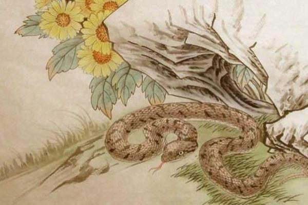 1977年属蛇最佳婚配月份农历五月与九月良缘揭晓 1977年属蛇最佳婚配月份农历五月与九月良缘揭晓