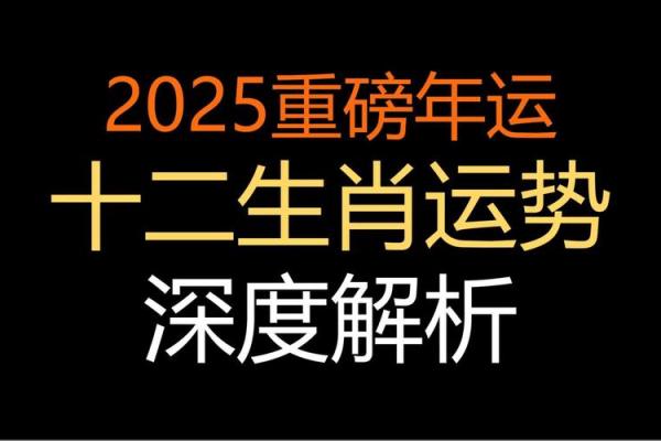 属猪人蛇年运势2025_2025蛇年属猪人运势详解全年逐月运程指南