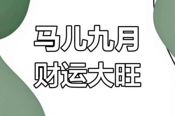 今日属马人的财运_属马人今日财运神巴巴