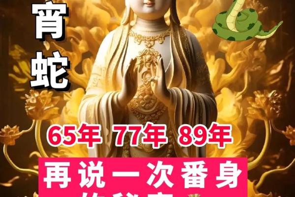65年出生属蛇今年运气 65年出生属蛇今年运气哪方利好