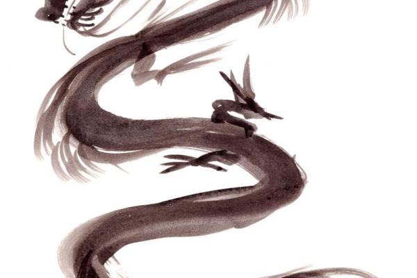 64年的龙五行属什么