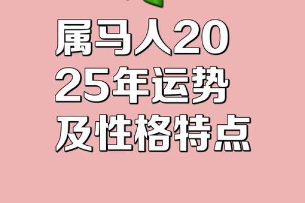 2002属马男孩一生运势 2002属马男孩一生运势早上56点出生