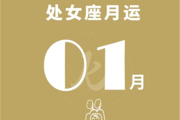 处女座2023年爱情运势_处女座2023运势查询 处女座2023年爱情运势_处女座2023运势查询