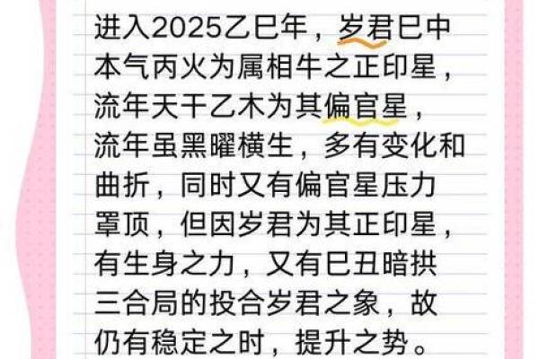 2025年金牛座运势详解财运爱情事业全解析