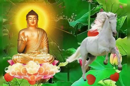 2002属马男孩一生运势 2002属马男孩一生运势早上56点出生