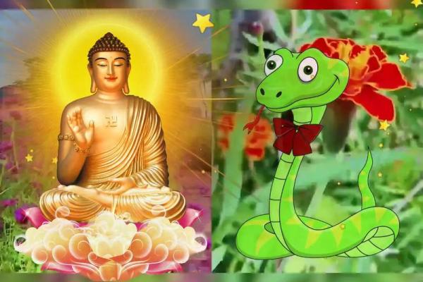 属蛇农历几月出生带财_生肖蛇农历哪几个月出生财运旺这3个月份财气最盛