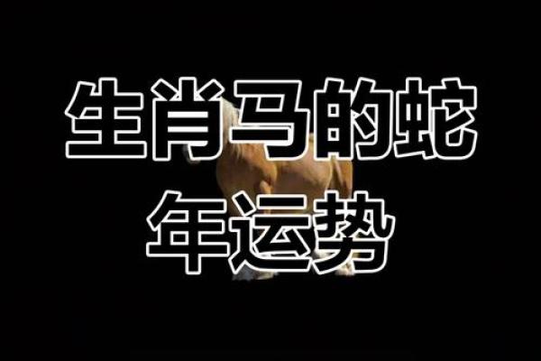 属马的人在2025年的运势_属马的人在2025年的运势怎么样 属马的人在2025年的运势_属马的人在2025年的运势怎么样