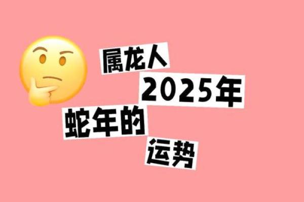 属龙今年运势2025年运势如何_属龙今年运势2025年运势如何呢 属龙今年运势2025年运势如何_属龙今年运势2025年运势如何呢