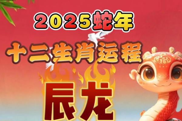 属龙的今年多大了2025年_2025年属龙人年龄解析及全年每月运势指南 属龙的今年多大了2025年_2025年属龙人年龄解析及全年每月运势指南