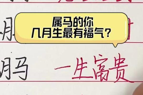 2002年属马的几月出生最好_2002年属马的几月出生最好命 2002年属马的几月出生最好_2002年属马的几月出生最好命