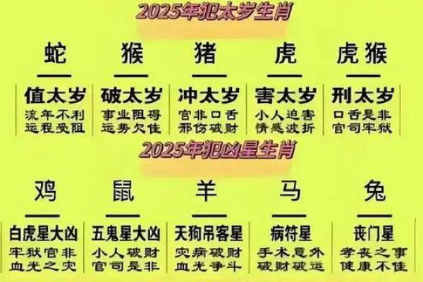 00年的龙2025年的运势 00年属龙人2025年逐月运势全解析