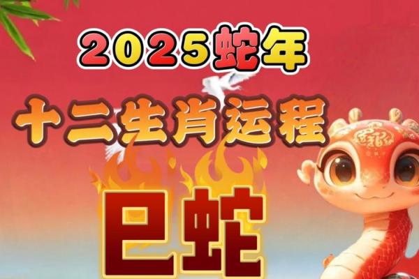 2025年属蛇_2025年属蛇的运势 2025年属蛇_2025年属蛇的运势