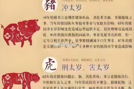 属蛇人2025本命年怎么样_2025蛇年本命年逐月运势属蛇人全年运程全解析