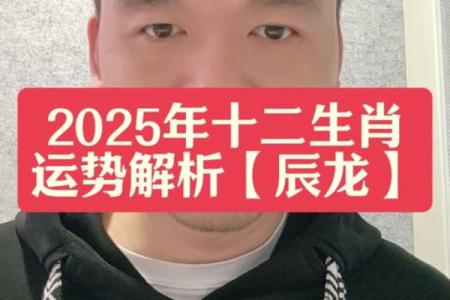 属龙2025年的运势_属龙2025年的运势及运程每月运气如何