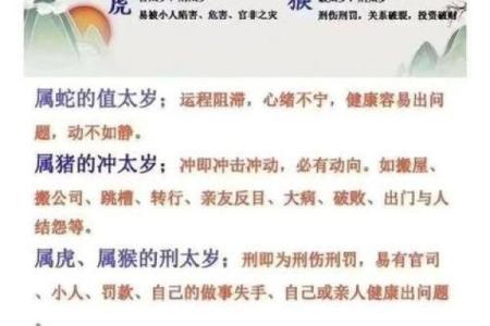 2025年是什么蛇什么命_2025乙巳蛇年命理揭秘木蛇之命全年运势