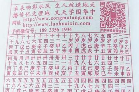 2025年属蛇逐月运程全解析全年12个月运势完整指南