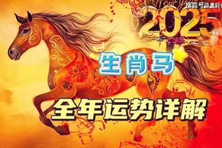 马年出生的人2025年运势及运程_78年属马47岁2025劫难