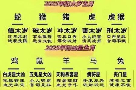 00年的龙2025年的运势 00年属龙人2025年逐月运势全解析