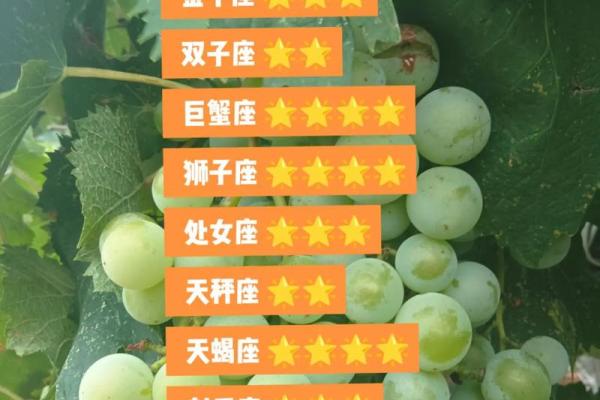 2025年3月27日处女座今日星座运势