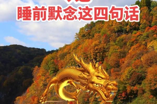 1988年生肖龙今日运势 1988年属龙今日运势怎么样 1988年生肖龙今日运势 1988年属龙今日运势怎么样