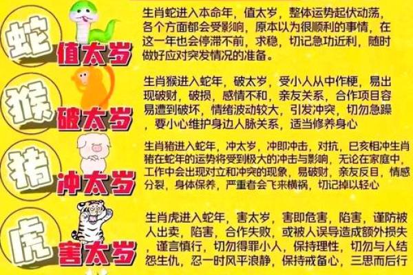 属羊2025年运程 属羊人2025年全年运势