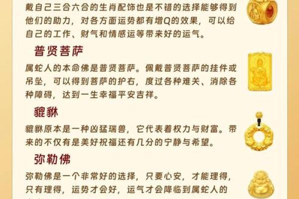 属蛇2025年多大_属相鸡2025年多大了 属蛇2025年多大_属相鸡2025年多大了