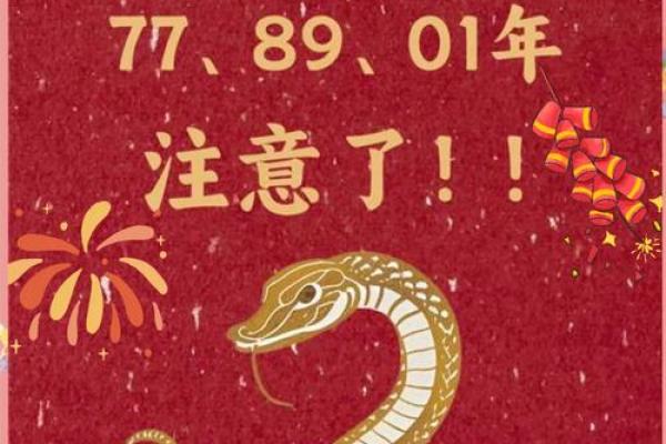 2025年属蛇的多大了_1977属蛇48岁以后运气如何 2025年属蛇的多大了_1977属蛇48岁以后运气如何