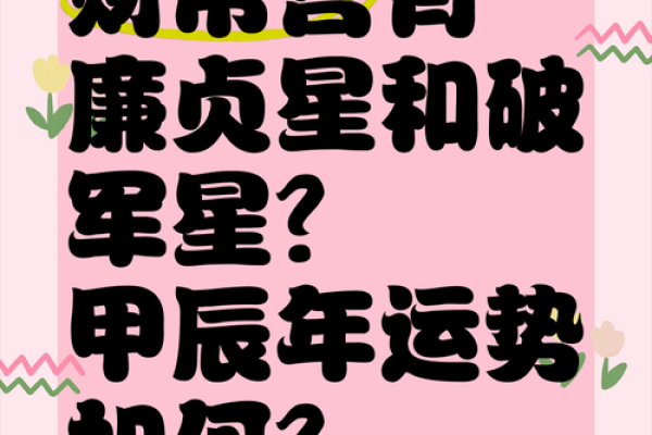 财帛宫巨门旺财富运势解析与提升策略 财帛宫巨门旺财富运势解析与提升策略